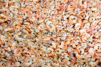 Sun Dried Shrimps Background