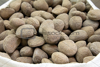 Sack of Buah Keluak Nuts