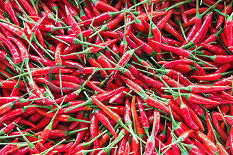 Thai Chili Peppers Background