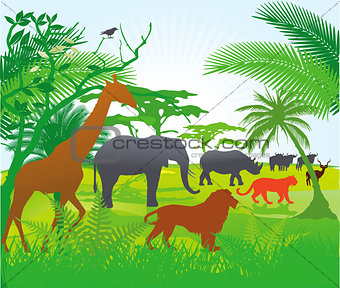Jungle with animals