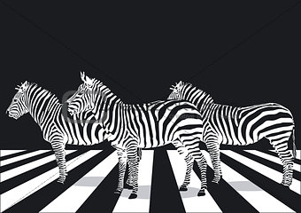 Zebra crosswalk on