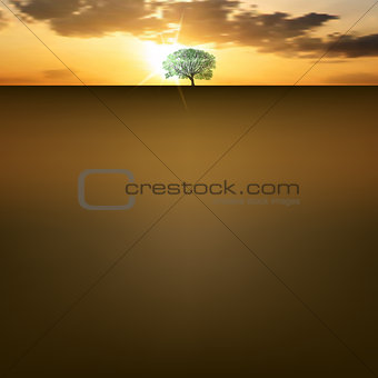 Nature background with sunrise and tree