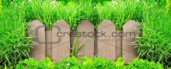 Wooden fence and green grass