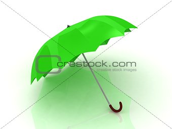 Green umbrella with wooden handle