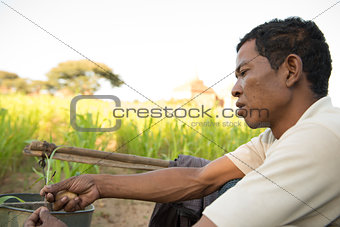 Portrait Traditional Asian male farmer