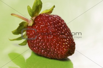 isolated strawberry over green