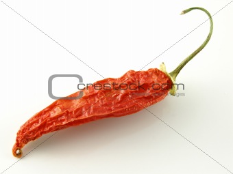 Aji pepper