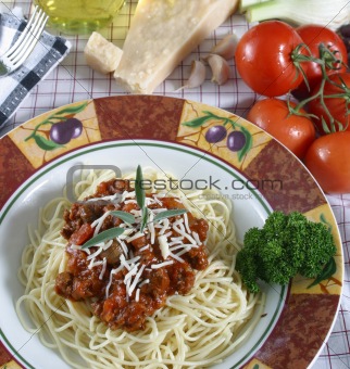 pasta dish with elk meat sauce