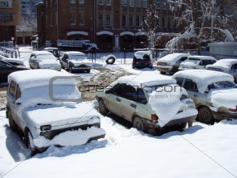 Cars covered by snow