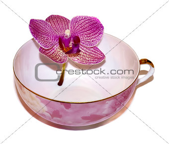porcelain cup with flower