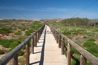 Wooden walkway leading to Bordeira Beach, Algarve,  Portugal