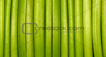Natural Green Background