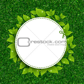 Green Grass Texture With Leaves