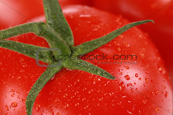 Tomato macro shot