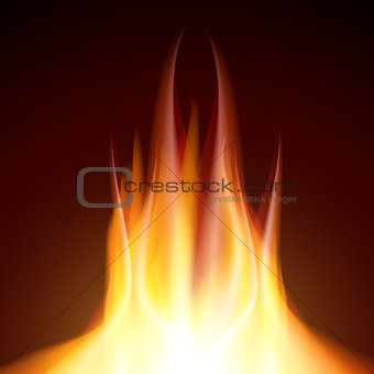 Fire flame burn on black background