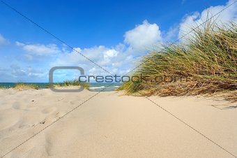 Dunes by the sea