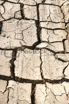 Dry Land with Cracked