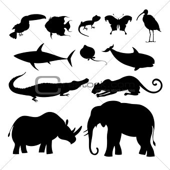 different silhouettes of animals