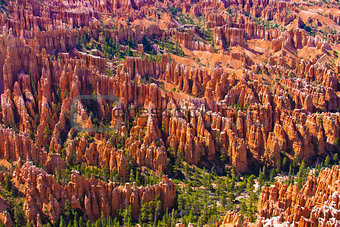 Amphitheater of Hoodoos from Inspiration Point, Bryce Canyon National Park, Utah, USA