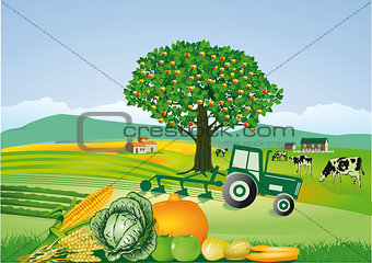 Agriculture and harvest, thanksgiving