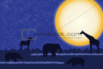Card with african animals at night