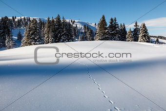 Almost Untouched Powder Snow Landscape, Ski Resort Megeve, Frenc