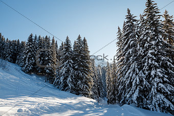 Ski Slope and Beautiful  Landscape in Megeve, French Alps, Franc
