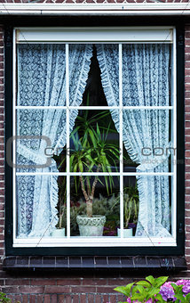 holland Window