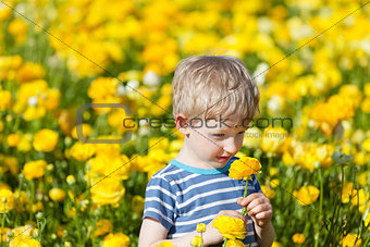 cute boy at the flower field