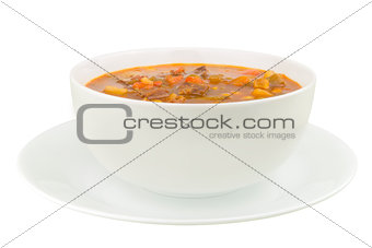 A Bowl of Vegetable Beef Soup on a White Background