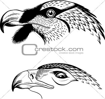 Eagle's heads