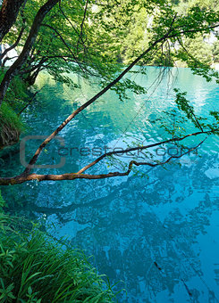Summer azure  limpid  transparent lake (Plitvice, Croatia)