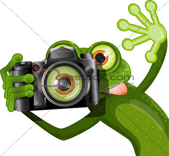 frog with a camera