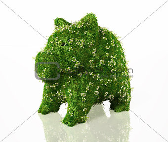 piggy bank covered with grass