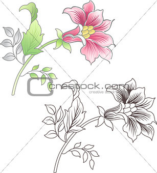 Pink and outlined flower, floral background