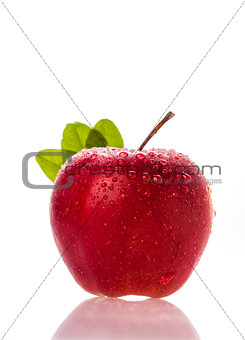fresh apple with water droplets and grren leaves in background