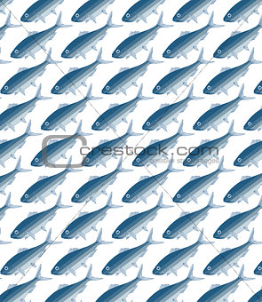 fishes herring