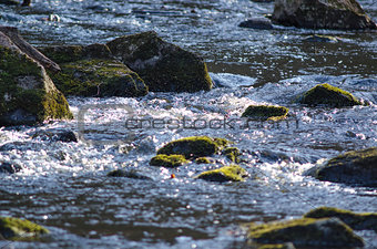 Small river with stones