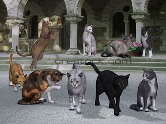 Cats on the Palace Steps