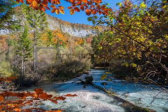 Radovna River in Fall