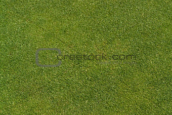 abstract golf green background