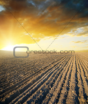 agricultural black field and sunset