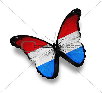 Luxembourg flag butterfly, isolated on white