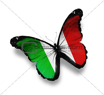 Italian flag butterfly, isolated on white