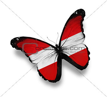 Austrian flag butterfly, isolated on white