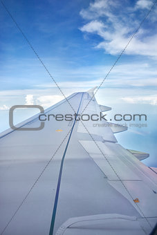 Wing of plane
