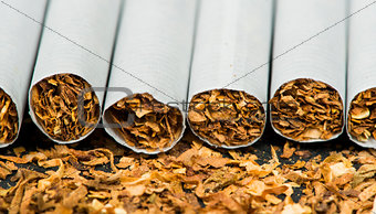 Arranged in a row cigarettes