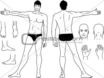 Full length (front & back) views of a standing naked man