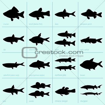 Freshwater fish icons