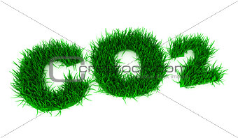 3d green CO2